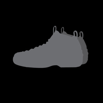 Nike Air Foamposite Pro