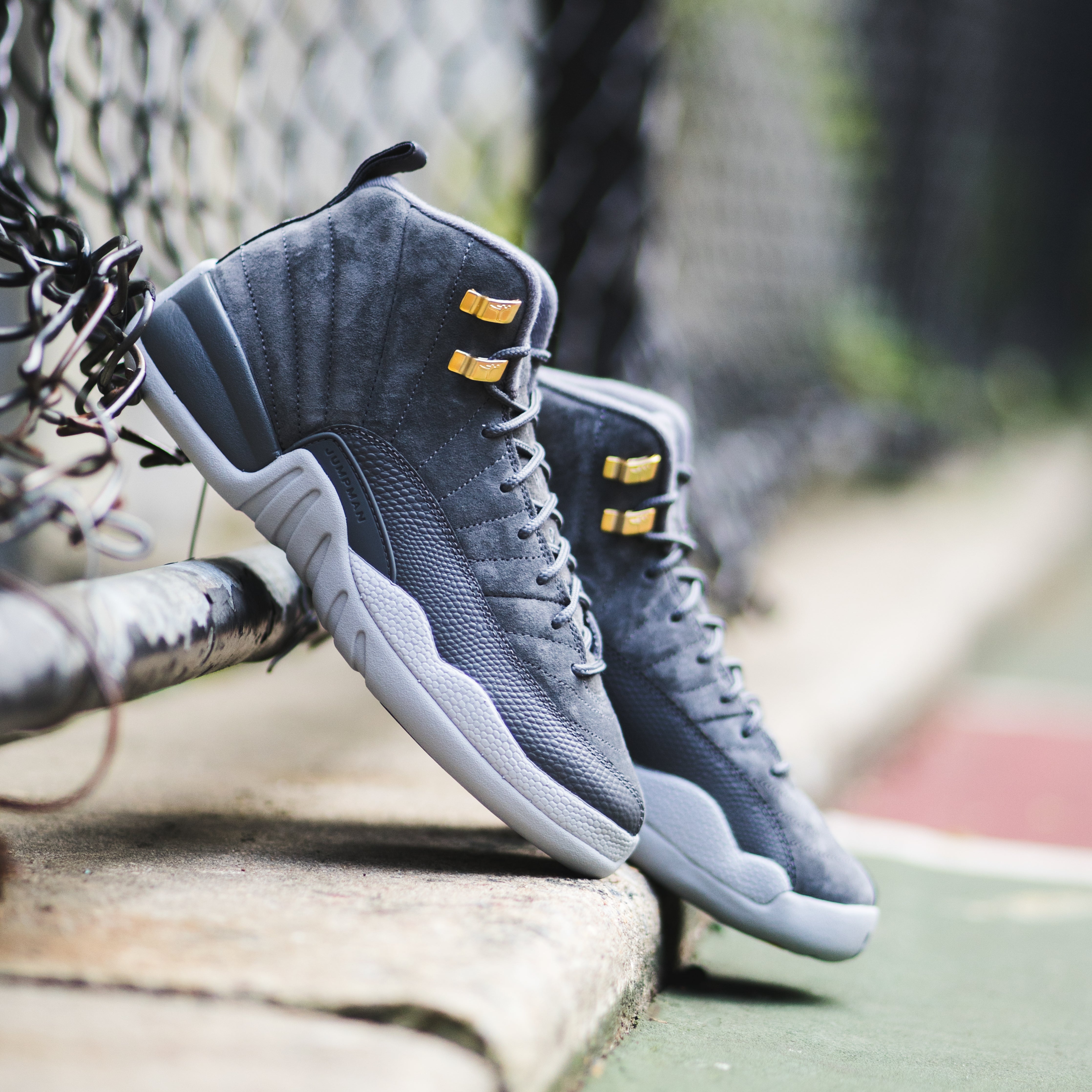 Jordan 12 dark grey on feet hotsell