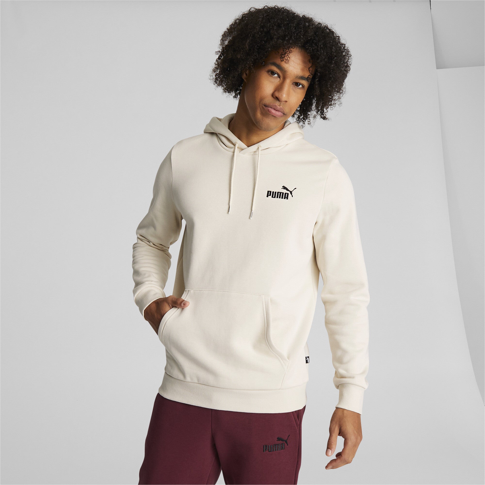 PUMA Men ESS+ Logo Pullover Hoodie Alpine Snow - Main Image