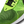 Nike - Men - Air Max Flyknit Racer  - Volt/Black/White
