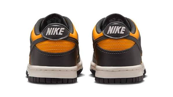 Nike - Boy - GS Dunk Low - Sundial/Anthracite/Sail
