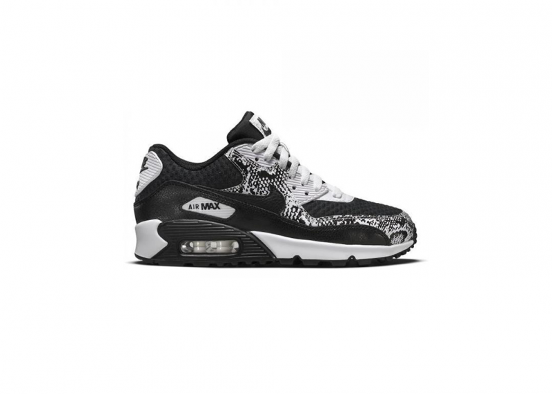 Air max sales 90 png