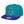 MITCHELL & NESS - Accessories - Charlotte Hornets HWC Upside Down Snapback - Teal/Purple