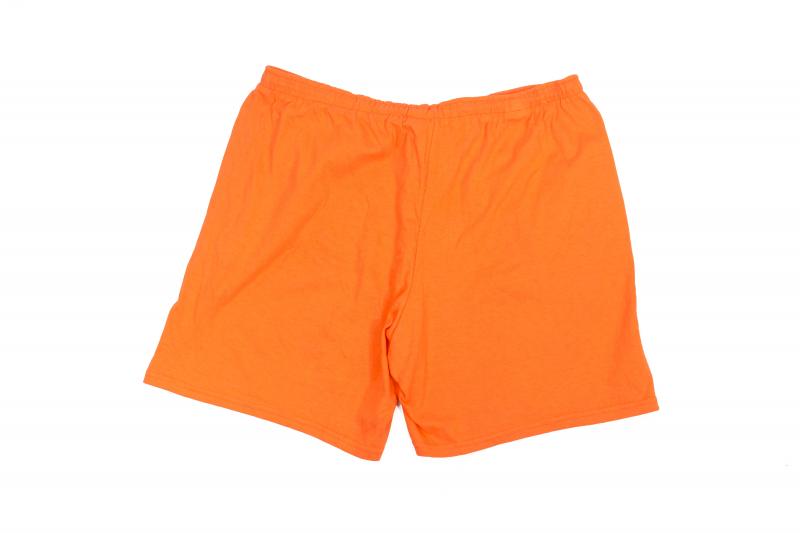 Fleece Shorts Orange Champion Shorts Vintage Men Champion Fleece