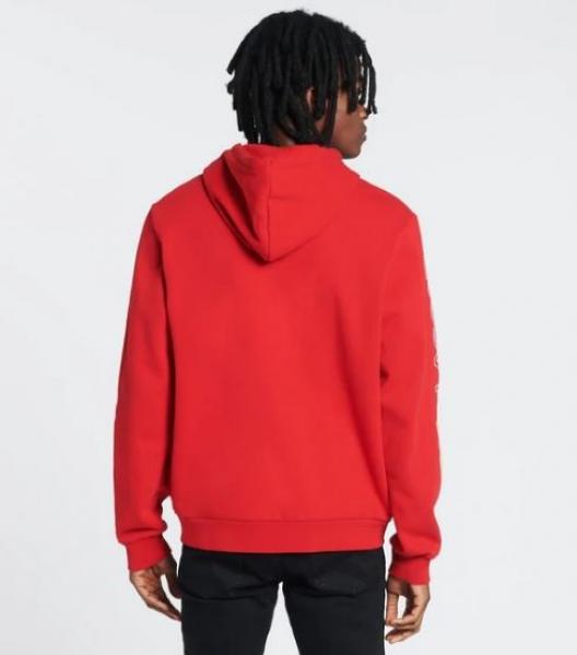 Lacoste colorblock 2025 hoodie
