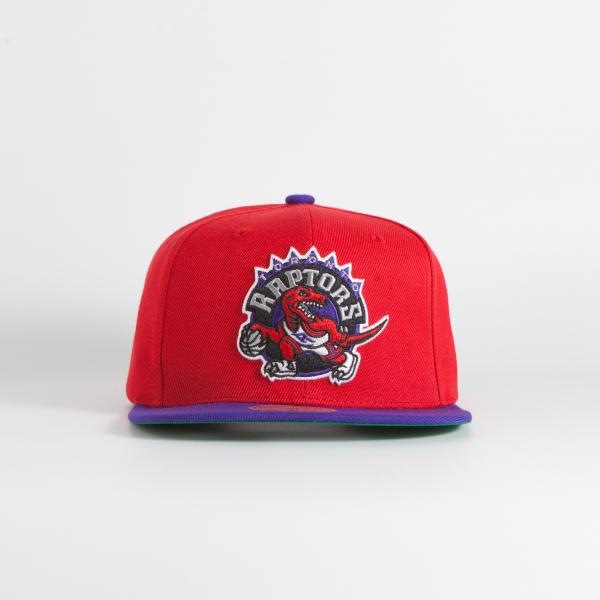Toronto Raptors Purple Oversize Logo hat-NWT Mitchell & Ness