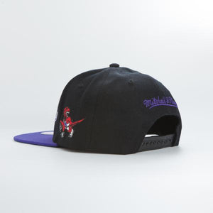 Mitchell & Ness NBA Toronto Raptors Team Script 2.0 Snapback Hat