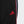 adidas - Boy - Tiro Youth Pant - Black/Red