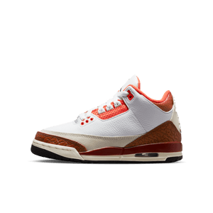 Jordan GS Air Jordan Retro 3 SE